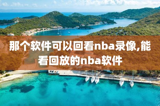 那个软件可以回看nba录像,能看回放的nba软件