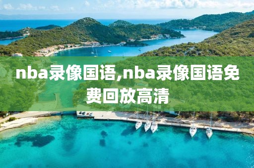 nba录像国语,nba录像国语免费回放高清