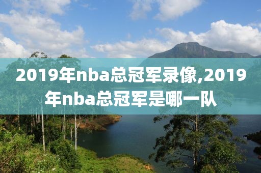 2019年nba总冠军录像,2019年nba总冠军是哪一队