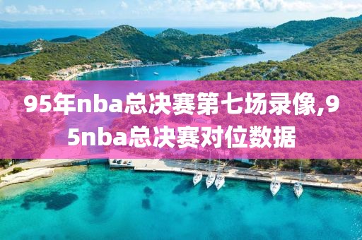 95年nba总决赛第七场录像,95nba总决赛对位数据