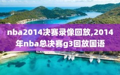 nba2014决赛录像回放,2014年nba总决赛g3回放国语