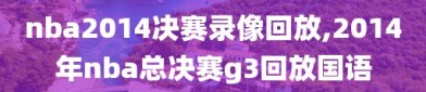 nba2014决赛录像回放,2014年nba总决赛g3回放国语