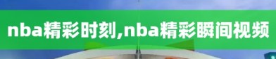 nba精彩时刻,nba精彩瞬间视频