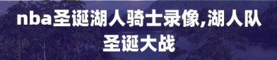 nba圣诞湖人骑士录像,湖人队圣诞大战