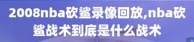 2008nba砍鲨录像回放,nba砍鲨战术到底是什么战术