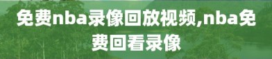 免费nba录像回放视频,nba免费回看录像