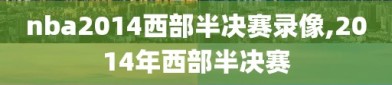 nba2014西部半决赛录像,2014年西部半决赛