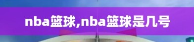 nba篮球,nba篮球是几号