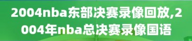 2004nba东部决赛录像回放,2004年nba总决赛录像国语