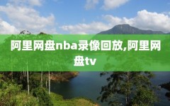 阿里网盘nba录像回放,阿里网盘tv