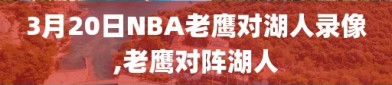 3月20日NBA老鹰对湖人录像,老鹰对阵湖人