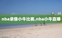 nba录像小牛比赛,nba小牛直播