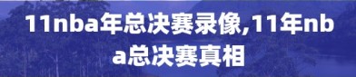 11nba年总决赛录像,11年nba总决赛真相