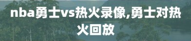 nba勇士vs热火录像,勇士对热火回放