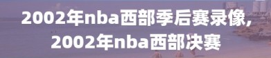 2002年nba西部季后赛录像,2002年nba西部决赛