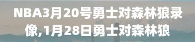 NBA3月20号勇士对森林狼录像,1月28日勇士对森林狼