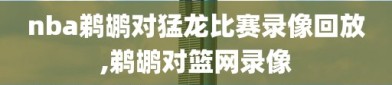 nba鹈鹕对猛龙比赛录像回放,鹈鹕对篮网录像