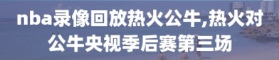 nba录像回放热火公牛,热火对公牛央视季后赛第三场