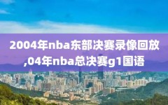 2004年nba东部决赛录像回放,04年nba总决赛g1国语