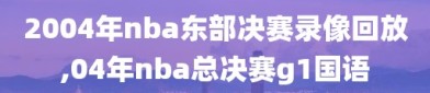 2004年nba东部决赛录像回放,04年nba总决赛g1国语