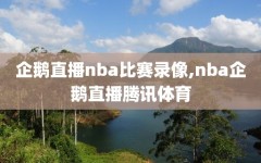 企鹅直播nba比赛录像,nba企鹅直播腾讯体育
