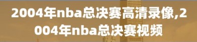 2004年nba总决赛高清录像,2004年nba总决赛视频