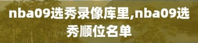 nba09选秀录像库里,nba09选秀顺位名单