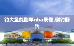 钓大鱼能倒竿nba录像,倒钓野钓