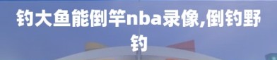 钓大鱼能倒竿nba录像,倒钓野钓