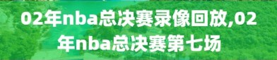 02年nba总决赛录像回放,02年nba总决赛第七场