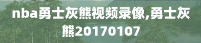 nba勇士灰熊视频录像,勇士灰熊20170107