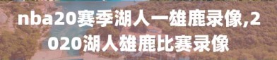 nba20赛季湖人一雄鹿录像,2020湖人雄鹿比赛录像