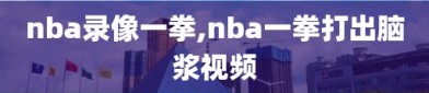 nba录像一拳,nba一拳打出脑浆视频