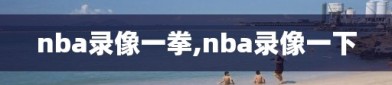 nba录像一拳,nba录像一下