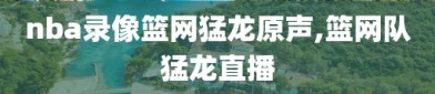 nba录像篮网猛龙原声,篮网队猛龙直播