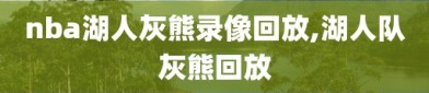 nba湖人灰熊录像回放,湖人队灰熊回放