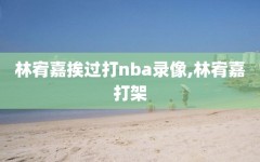 林宥嘉挨过打nba录像,林宥嘉打架