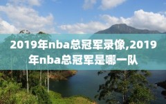 2019年nba总冠军录像,2019年nba总冠军是哪一队