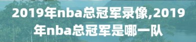 2019年nba总冠军录像,2019年nba总冠军是哪一队