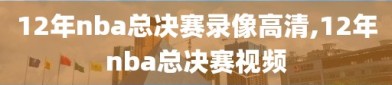 12年nba总决赛录像高清,12年nba总决赛视频