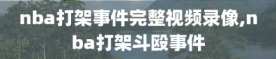 nba打架事件完整视频录像,nba打架斗殴事件