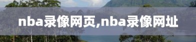 nba录像网页,nba录像网址