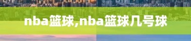 nba篮球,nba篮球几号球