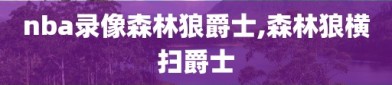 nba录像森林狼爵士,森林狼横扫爵士