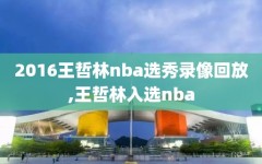 2016王哲林nba选秀录像回放,王哲林入选nba