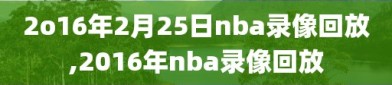 2o16年2月25日nba录像回放,2016年nba录像回放