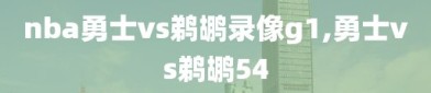 nba勇士vs鹈鹕录像g1,勇士vs鹈鹕54