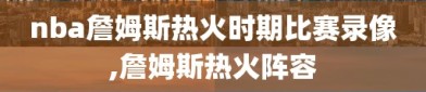 nba詹姆斯热火时期比赛录像,詹姆斯热火阵容