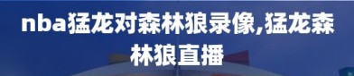 nba猛龙对森林狼录像,猛龙森林狼直播