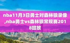 nba11月3日勇士对森林狼录像,nba勇士vs森林狼常规赛2018回放